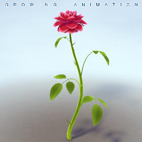 Rose Animated 3D